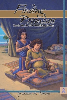 Susan A Perkins, Susan A. Perkins - Finding Promises, Häftad