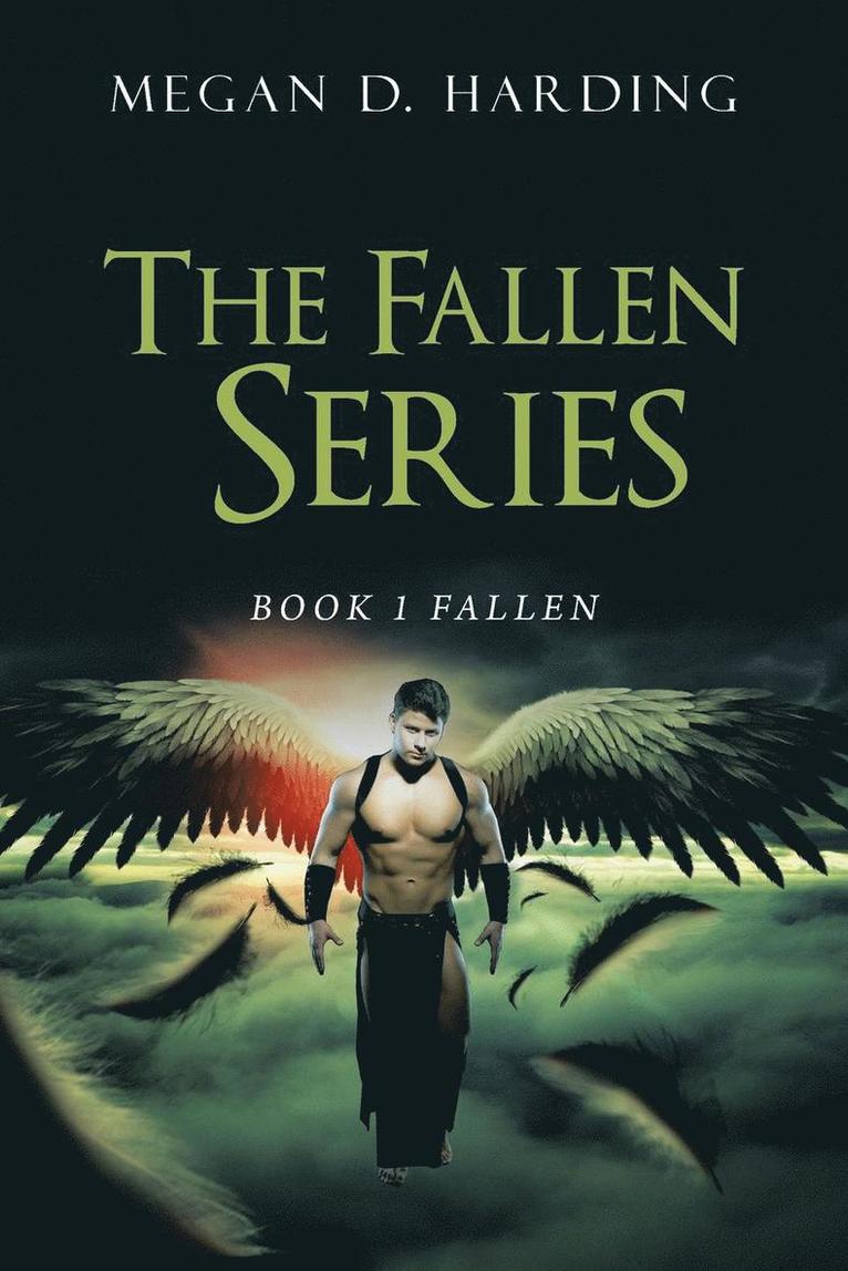 The Fallen Series 1