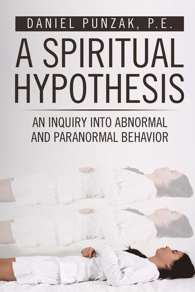 bokomslag Spiritual Hypothesis