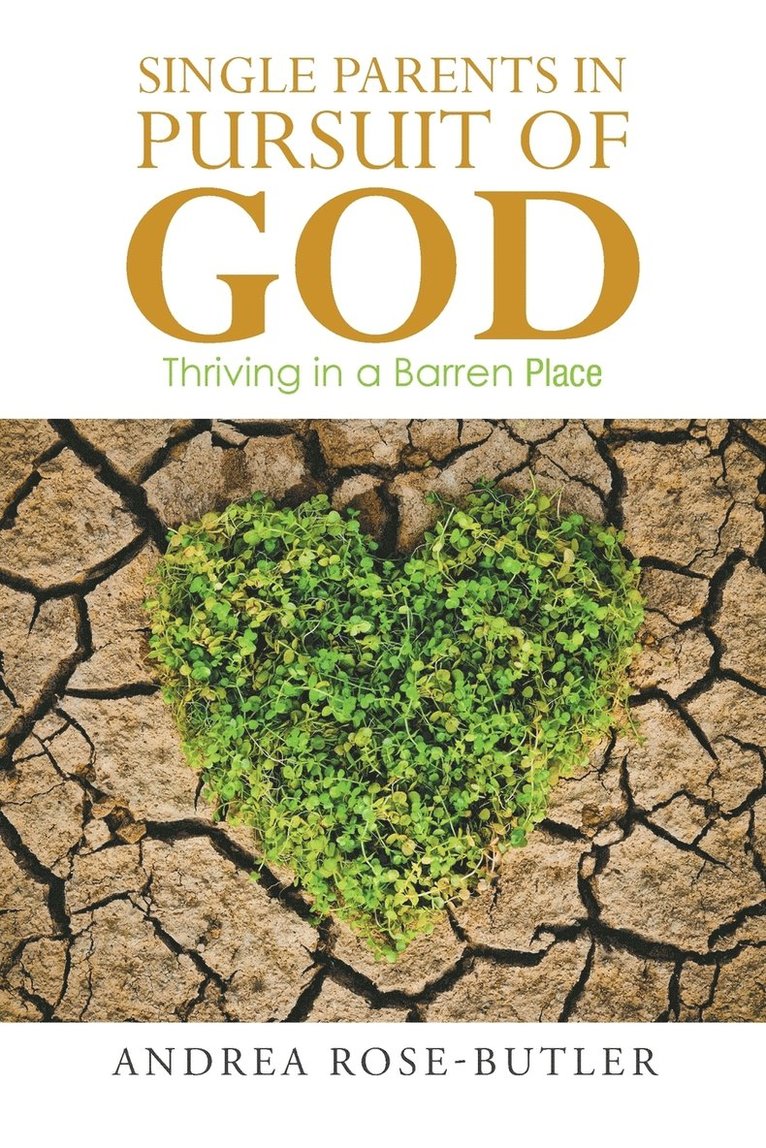 Andrea Rose-Butler - Single Parents in Pursuit of God, Häftad