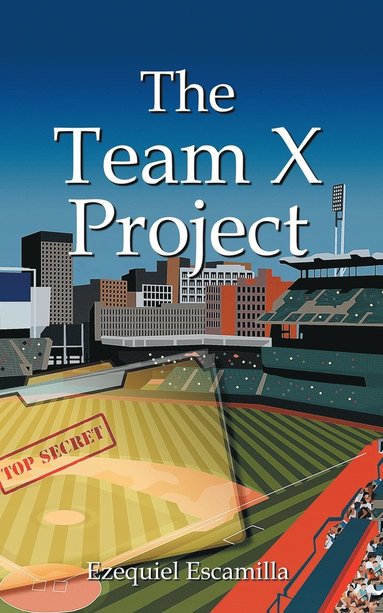 bokomslag Team X Project