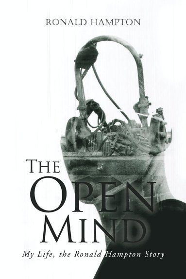 bokomslag The Open Mind