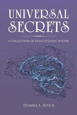 bokomslag Universal Secrets