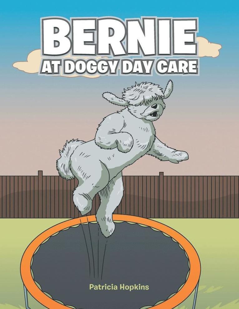 Bernie at Doggy Day Care 1