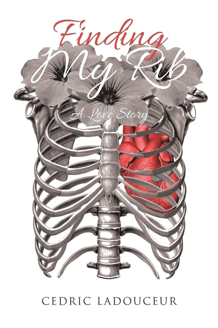 Finding My Rib 1