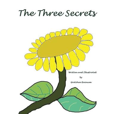 bokomslag Three Secrets
