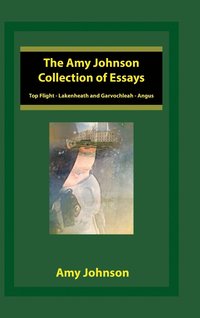 bokomslag The Amy Johnson Collection of Essays