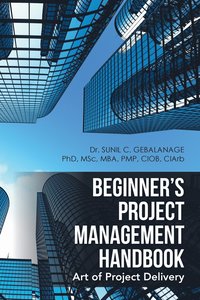 bokomslag Beginner's Project Management Handbook