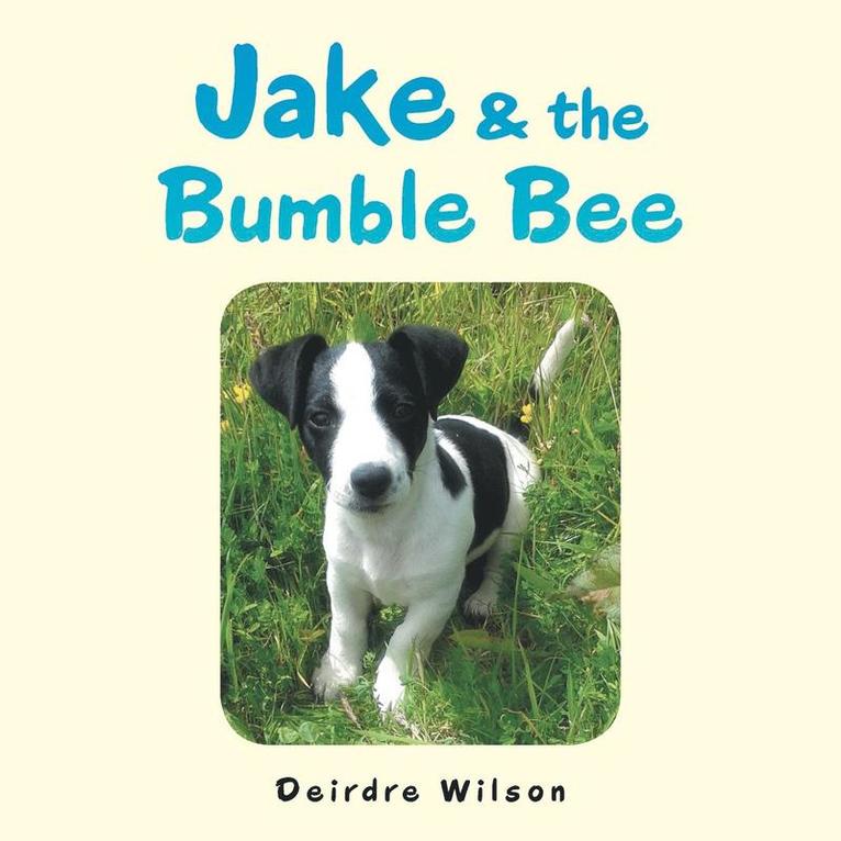 Jake & the Bumble Bee 1