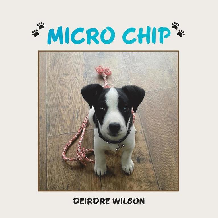 Micro Chip 1