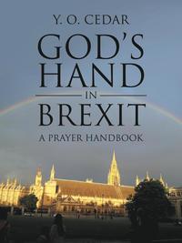 bokomslag God's Hand in Brexit