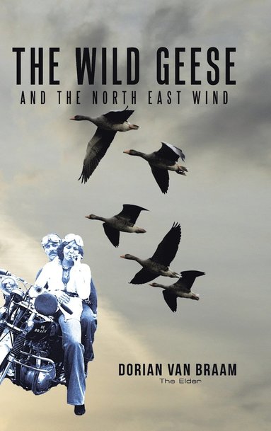 bokomslag Wild Geese and the North East Wind