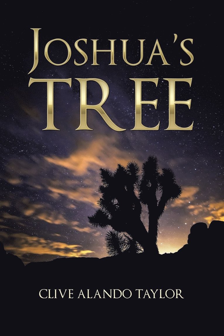 Joshua's Tree 1