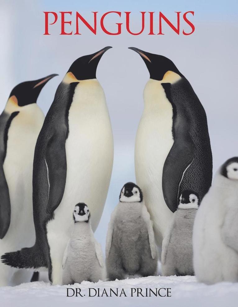 Penguins 1