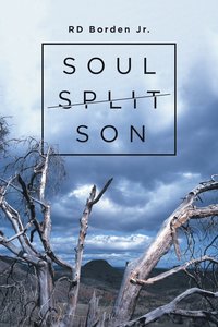 bokomslag Soul-Split Son