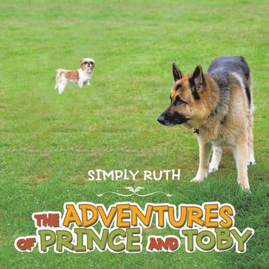 bokomslag Adventures of Prince and Toby