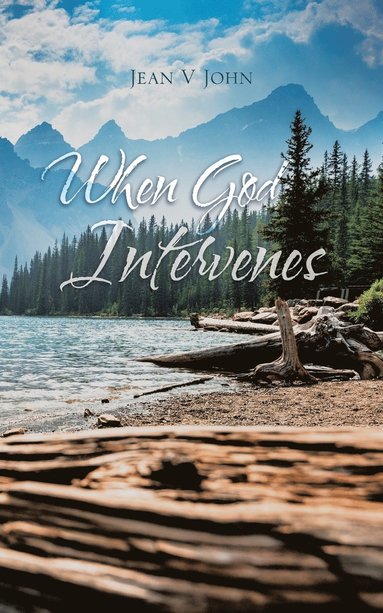 bokomslag When God Intervenes