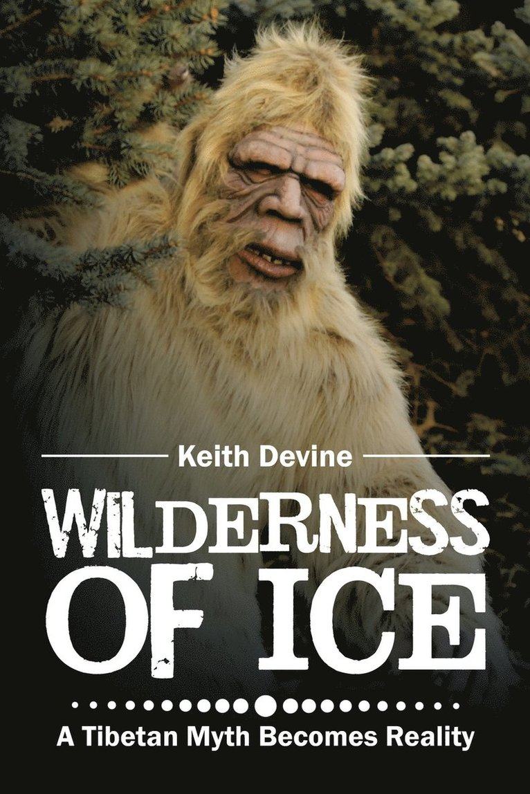 Keith Devine - Wilderness of Ice, Häftad