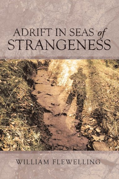 bokomslag Adrift in Seas of Strangeness