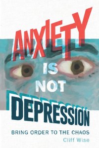 bokomslag Anxiety Is Not Depression