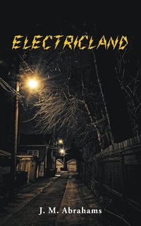 bokomslag Electricland