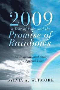 bokomslag 2009-a Year of Pain and the Promise of Rainbows