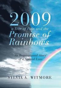 bokomslag 2009-a Year of Pain and the Promise of Rainbows