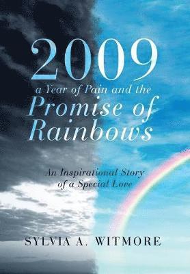 bokomslag 2009-a Year of Pain and the Promise of Rainbows