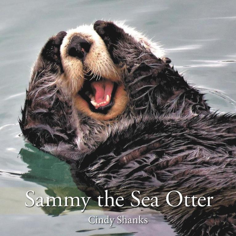 Sammy the Sea Otter 1