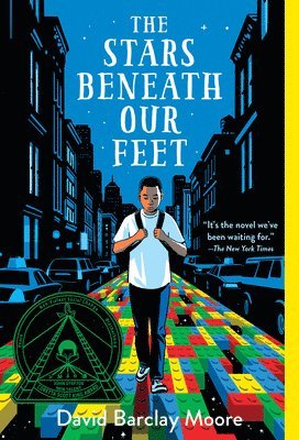bokomslag Stars Beneath Our Feet
