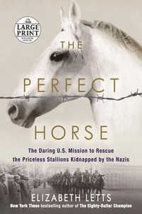 bokomslag Perfect Horse