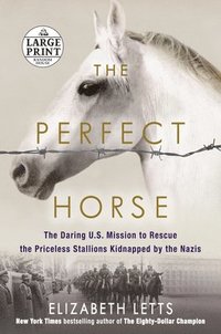 bokomslag The Perfect Horse