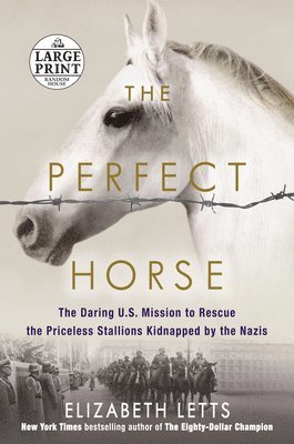 bokomslag The Perfect Horse