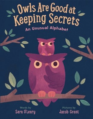 bokomslag Owls are Good at Keeping Secrets