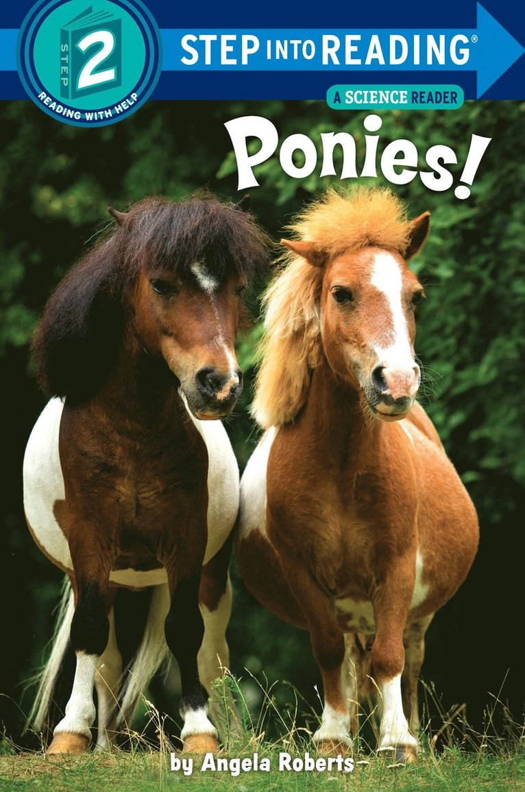 Angela Roberts - Ponies!, Häftad