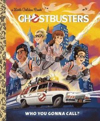 bokomslag Ghostbusters: Who You Gonna Call (Ghostbusters 2016)