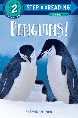 David Salomon - Penguins!, Häftad