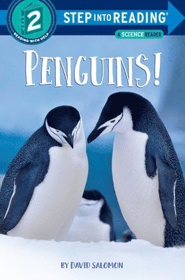 Penguins! 1