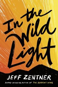 bokomslag In The Wild Light