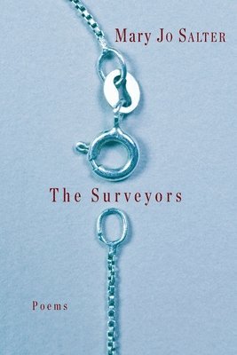 bokomslag The Surveyors: Poems