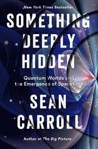 bokomslag Something Deeply Hidden: Quantum Worlds and the Emergence of Spacetime
