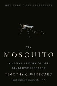 bokomslag The Mosquito
