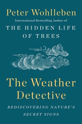 bokomslag The Weather Detective