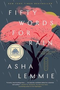 bokomslag Fifty Words for Rain