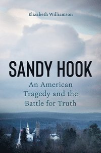 bokomslag Sandy Hook