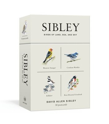 bokomslag Sibley Birds Of Land, Sea, And Sky