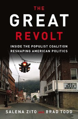 bokomslag Great Revolt