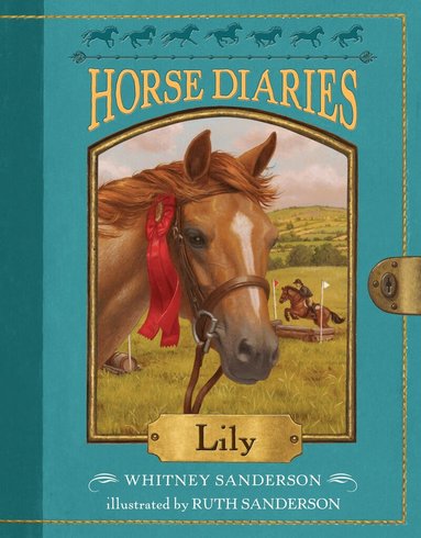 Whitney Sanderson, Ruth Sanderson - Horse Diaries #15, Häftad