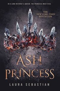 bokomslag Ash Princess