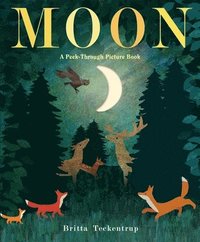 bokomslag Moon: A Peek-Through Picture Book